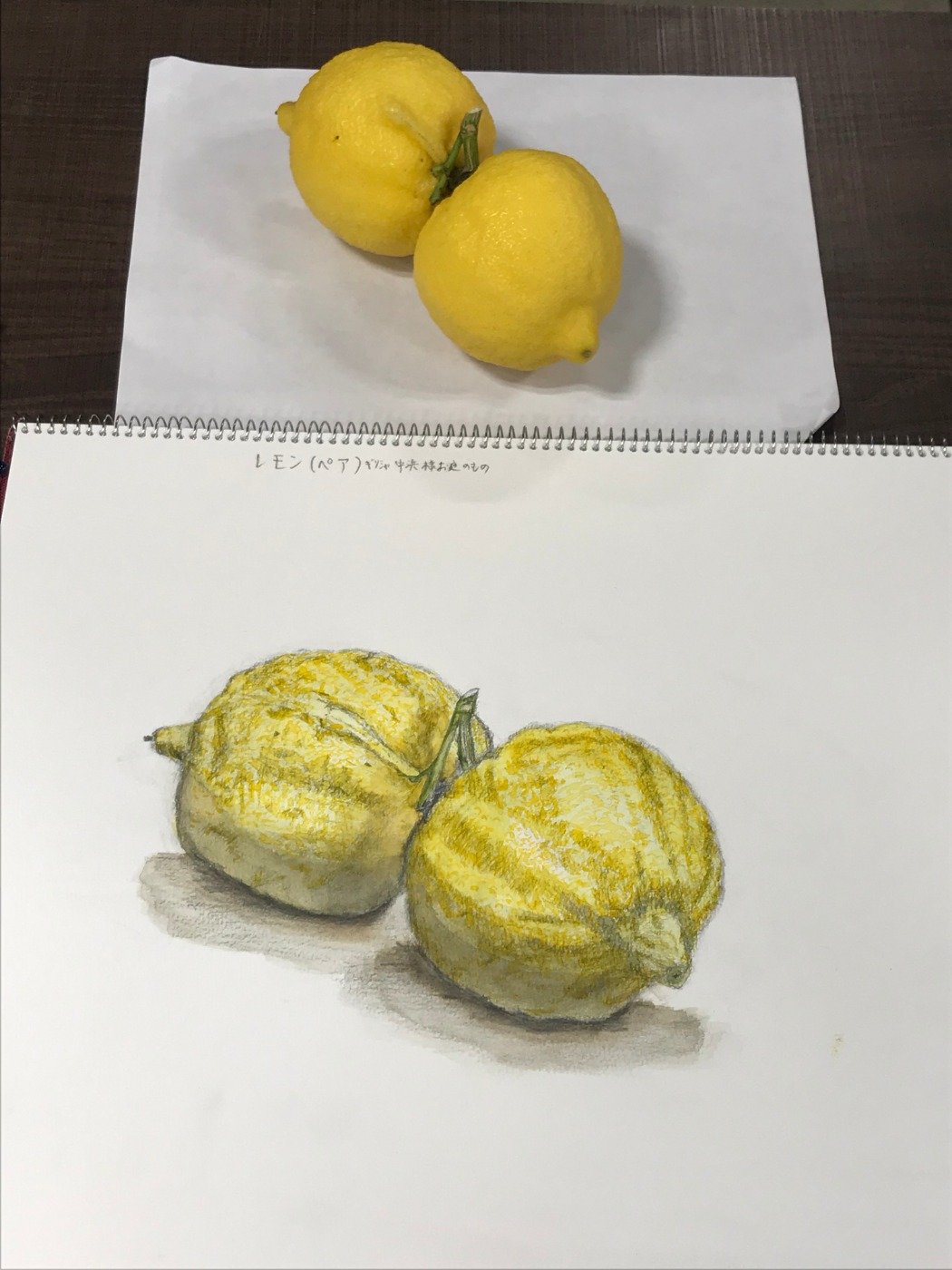 木曜日 日本画クラス 変わったレモンの水彩画 絵画教室ブログ ブログ 名古屋市千種区 基礎のデッサン 水彩画から洋画 油彩画 日本画まで